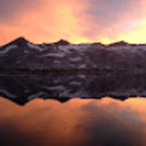 Meet your Posher, Annelise